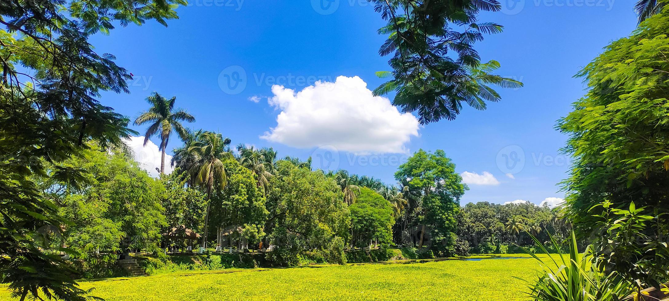 fundo de visão clara do céu de cor azul com nuvem atrás do sol foto