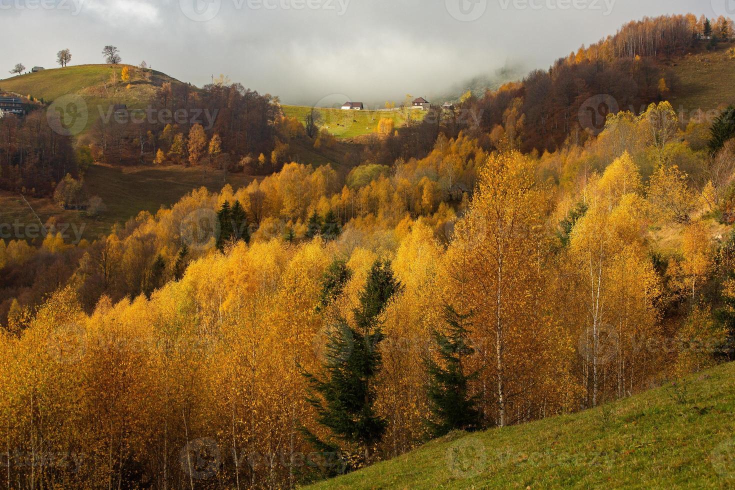 colorida paisagem de outono na aldeia de montanha. manhã de nevoeiro nas montanhas dos cárpatos na romênia. natureza incrível. foto