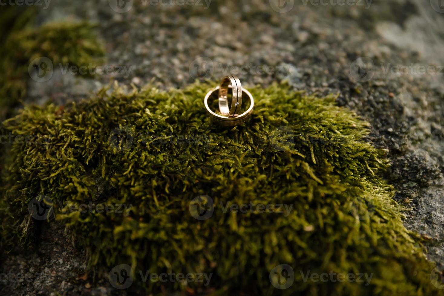 duas alianças de casamento no chão com contraste foto