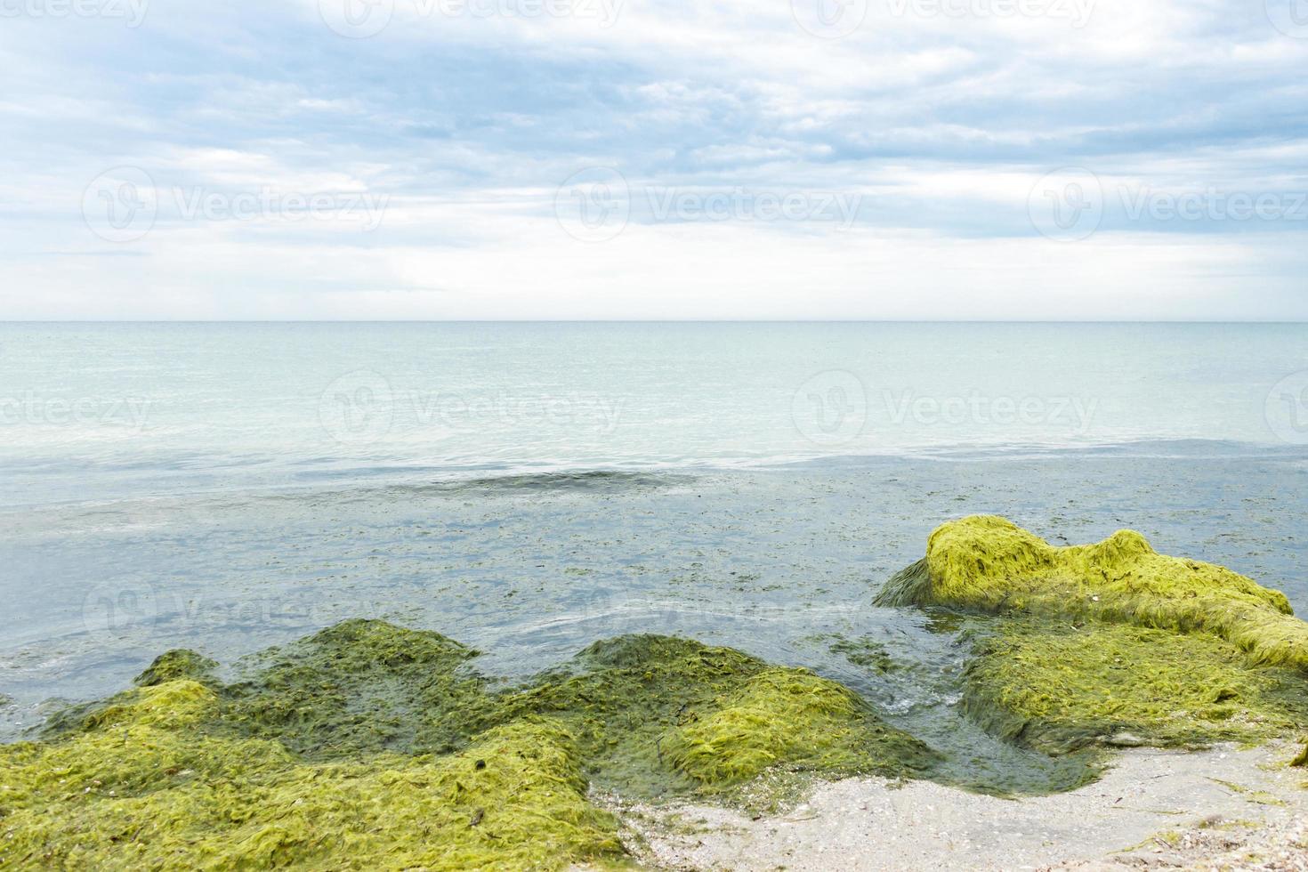 rochas com algas em um dia chuvoso do surf, céu nublado cinza. conceito de ecologia e desastres naturais foto