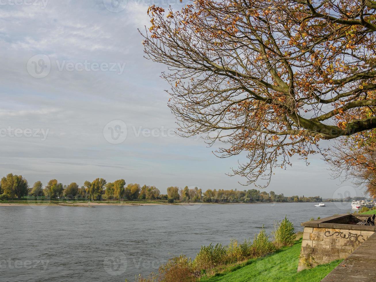 Düsseldorf no Rio Reno foto