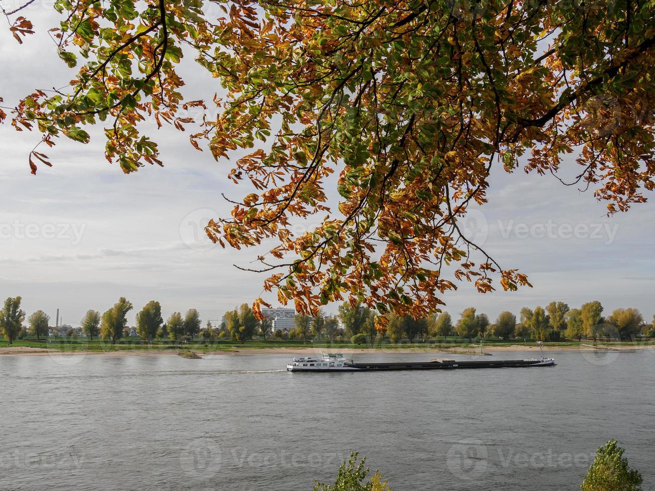 dusseldorf e o rio reno foto