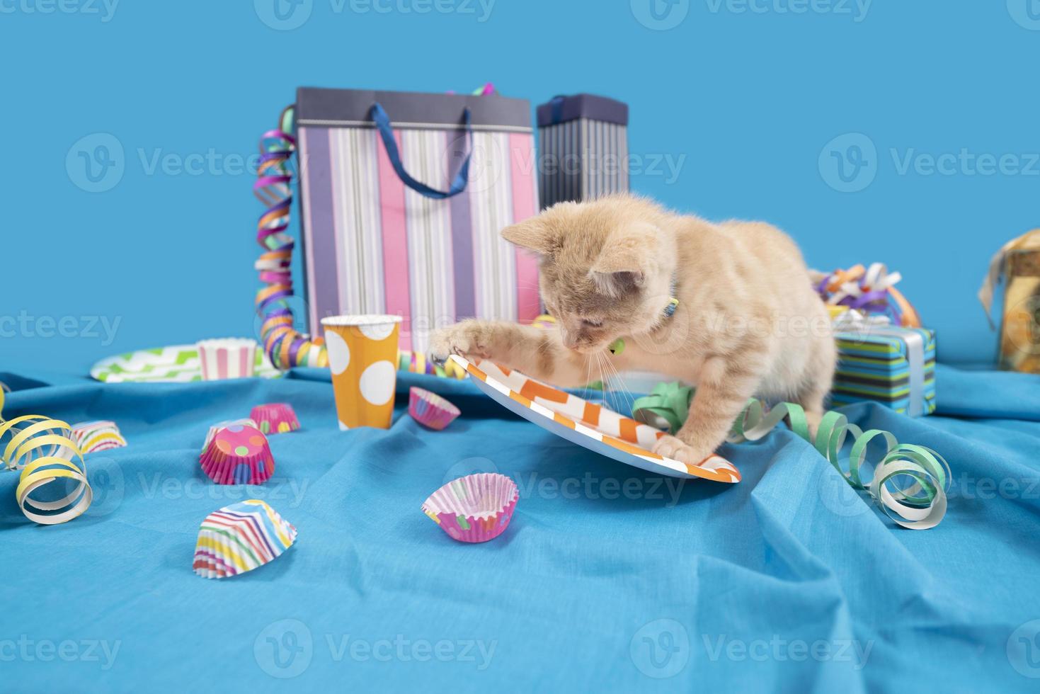 pequeno gato de gato de bebê amarelo pequeno bagunçando uma mesa de aniversário com serpentinas e sacolas de brindes em uma toalha de mesa azul contra fundo azul claro foto