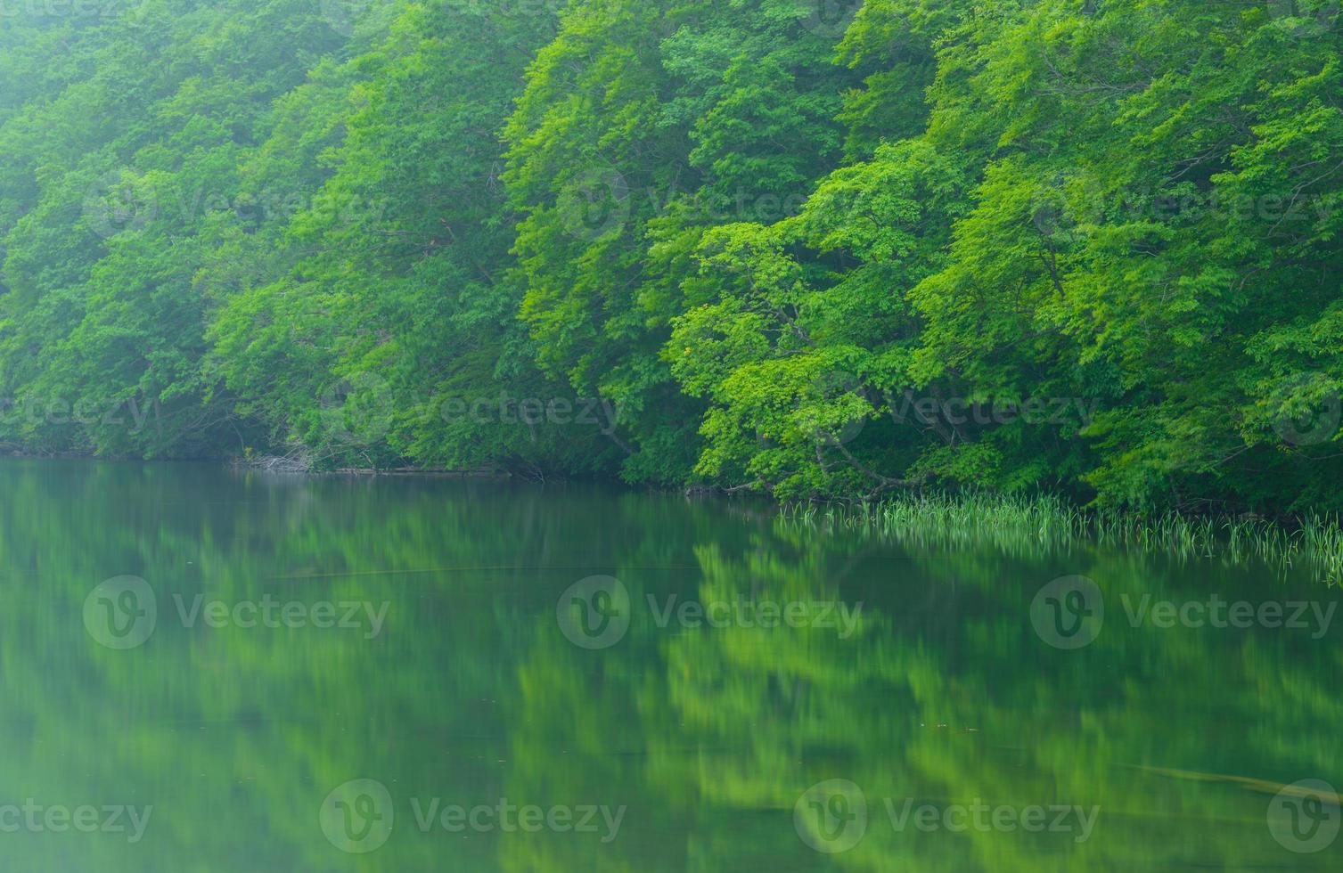 lagoa tsutanuma em aomori, japão foto