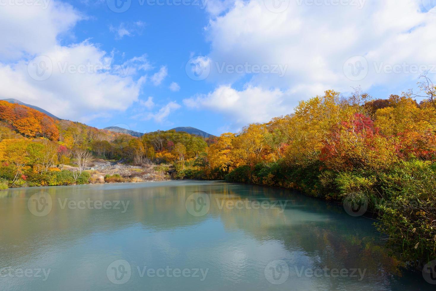 folhagem de outono em aomori, japão foto