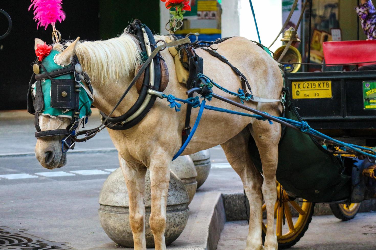 yogyakarta, indonésia, em 23 de outubro de 2022. andong ou carruagem puxada por cavalos com seu cocheiro estacionado em jalan malioboro, esperando passageiros. foto