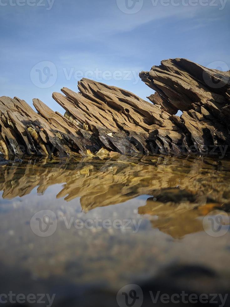poça de água em um tronco na praia foto