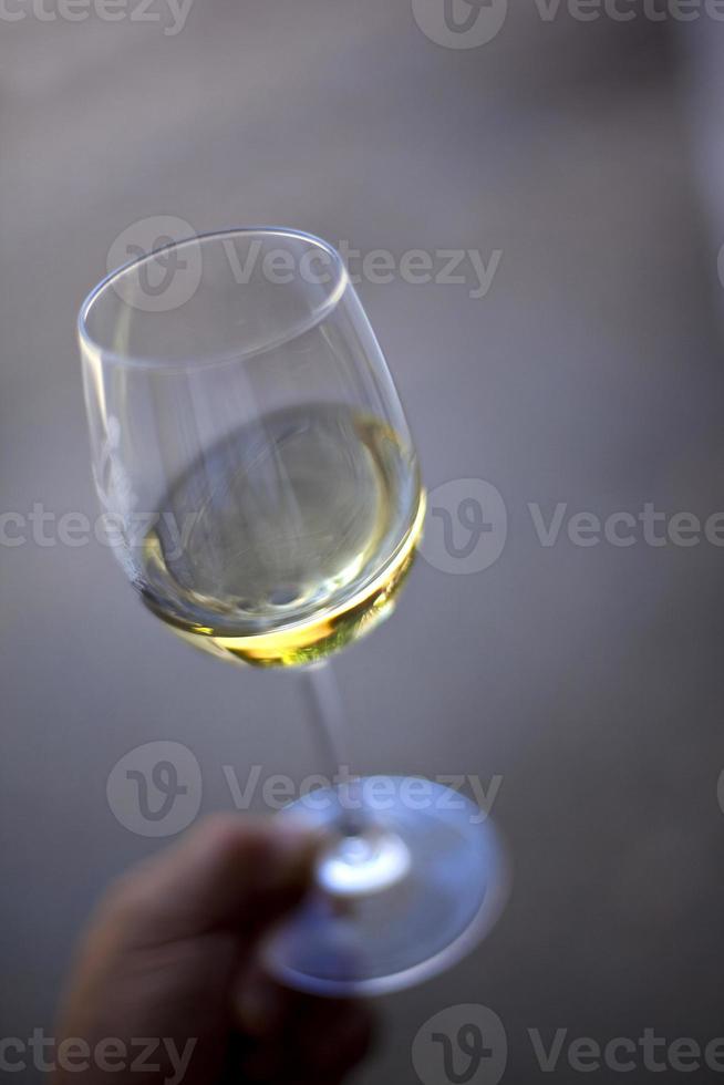 vinho branco foto