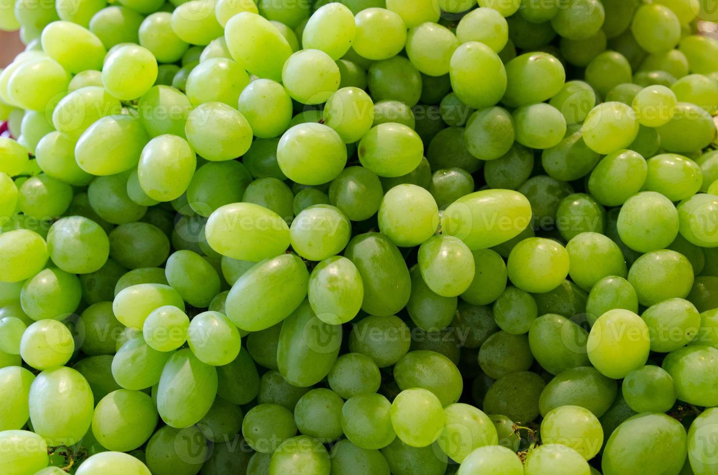 cacho de uvas verdes maduras e suculentas close-up foto