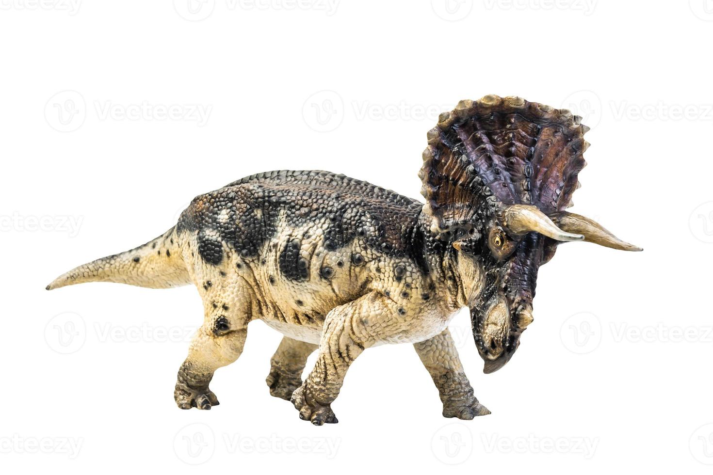 dinossauro, triceratops no traçado de recorte de fundo isolado foto