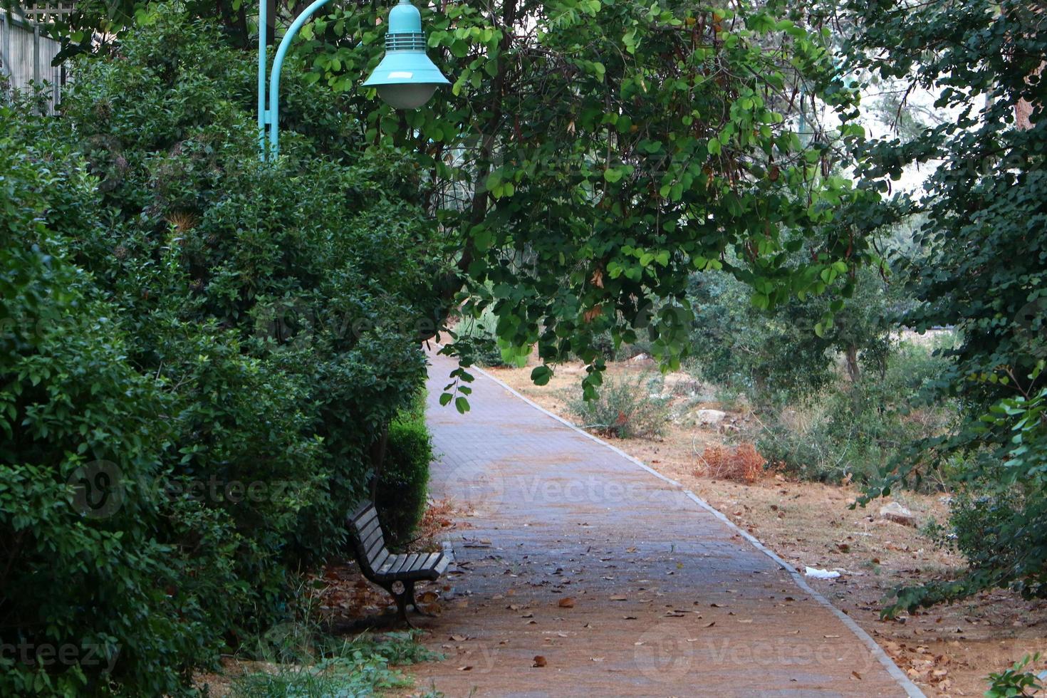 estrada pedonal no parque da cidade à beira-mar. foto