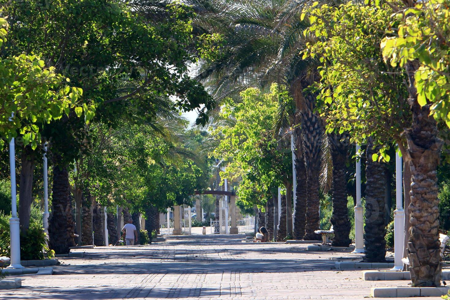 estrada pedonal no parque da cidade à beira-mar. foto