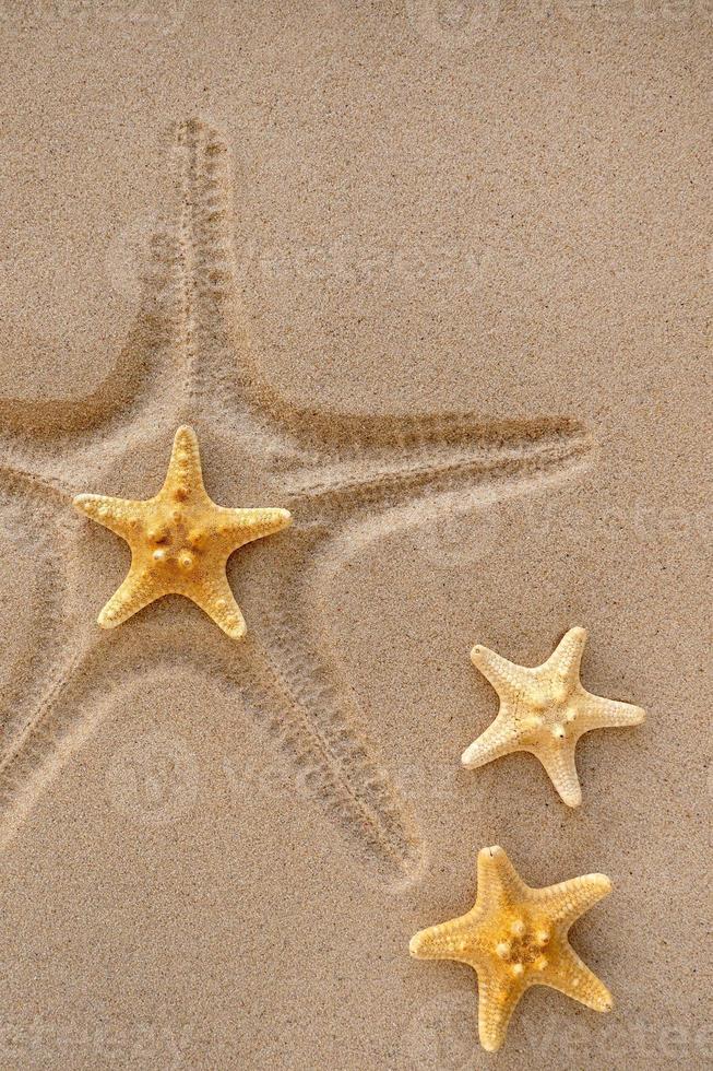 estampa de estrela do mar na areia. o conceito de recreação de verão e relaxamento. foto