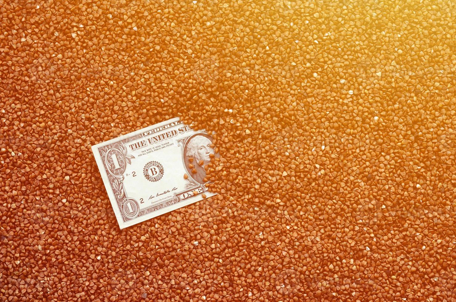 a textura de fundo de uma grande pilha de trigo sarraceno, no meio da qual você vê uma nota de um dólar americano. o conceito de preços mais altos para cereais foto