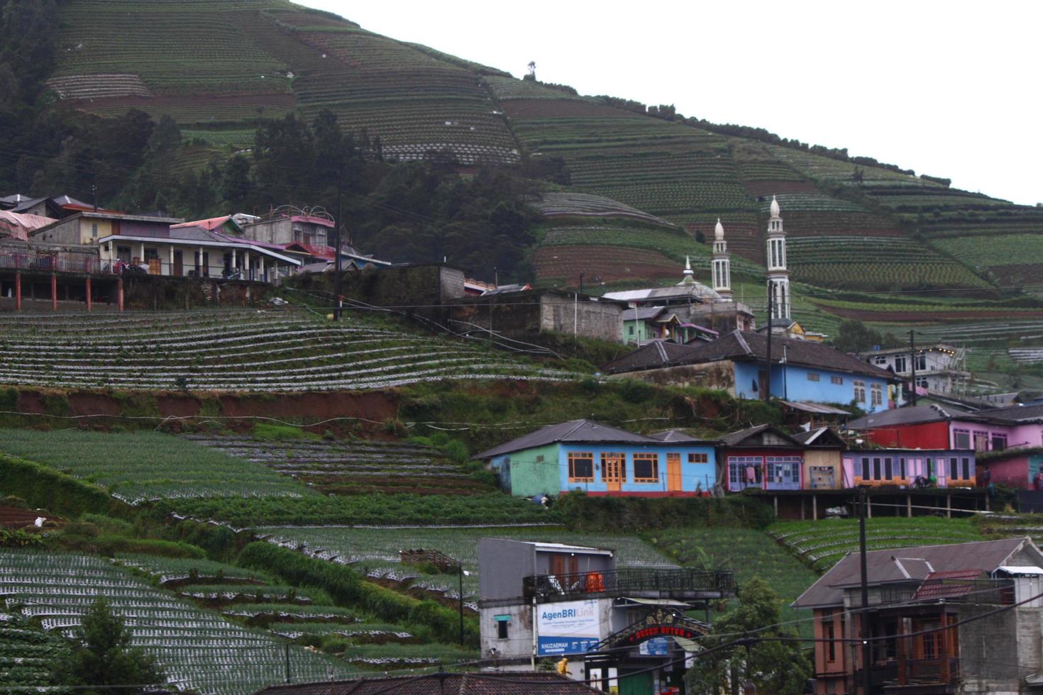 foto de paisagem de casas no sopé da montanha verde