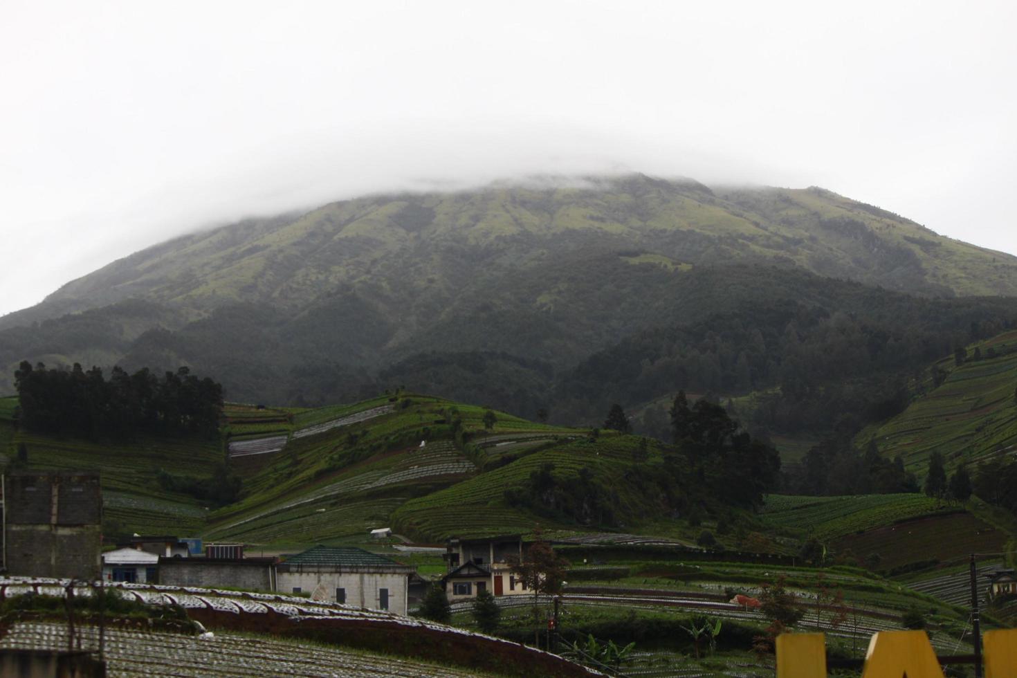 foto da paisagem verde da montanha pela manhã