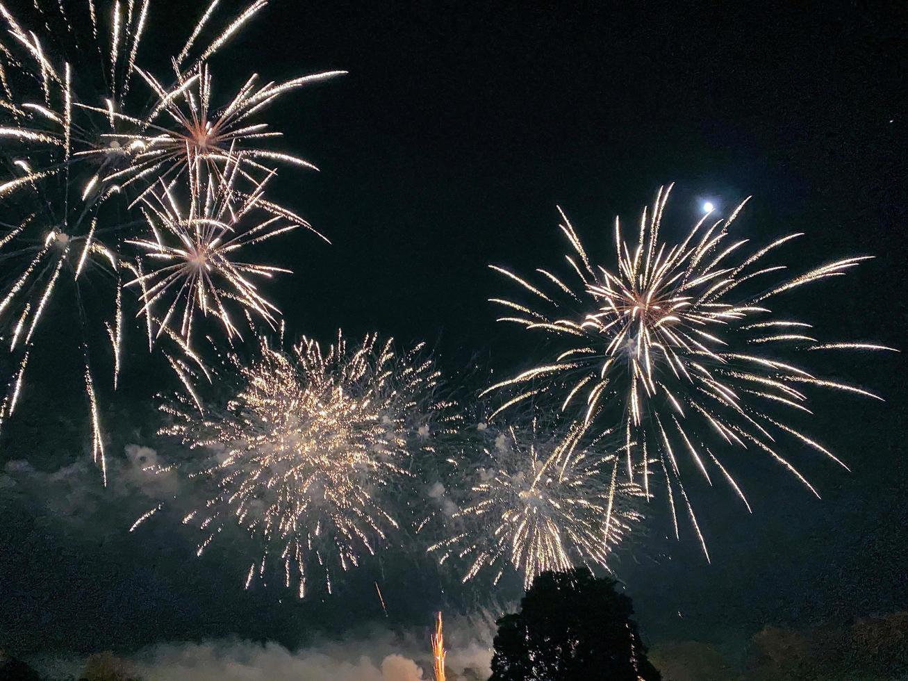 uma vista de uma queima de fogos no lago alderford em whitchurch foto