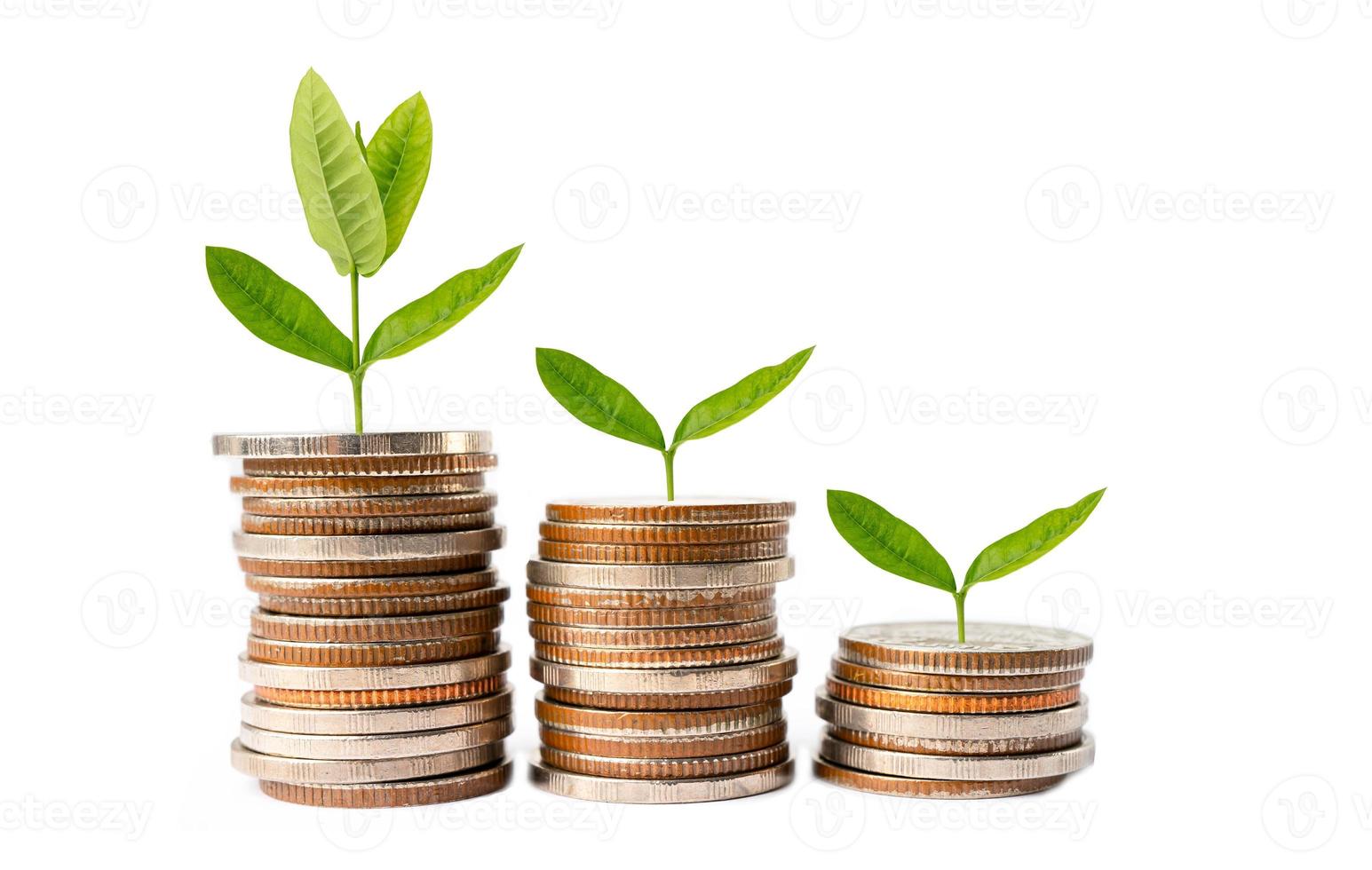 folha de árvore em moedas de economia de dinheiro, finanças de negócios economizando conceito de investimento bancário. foto