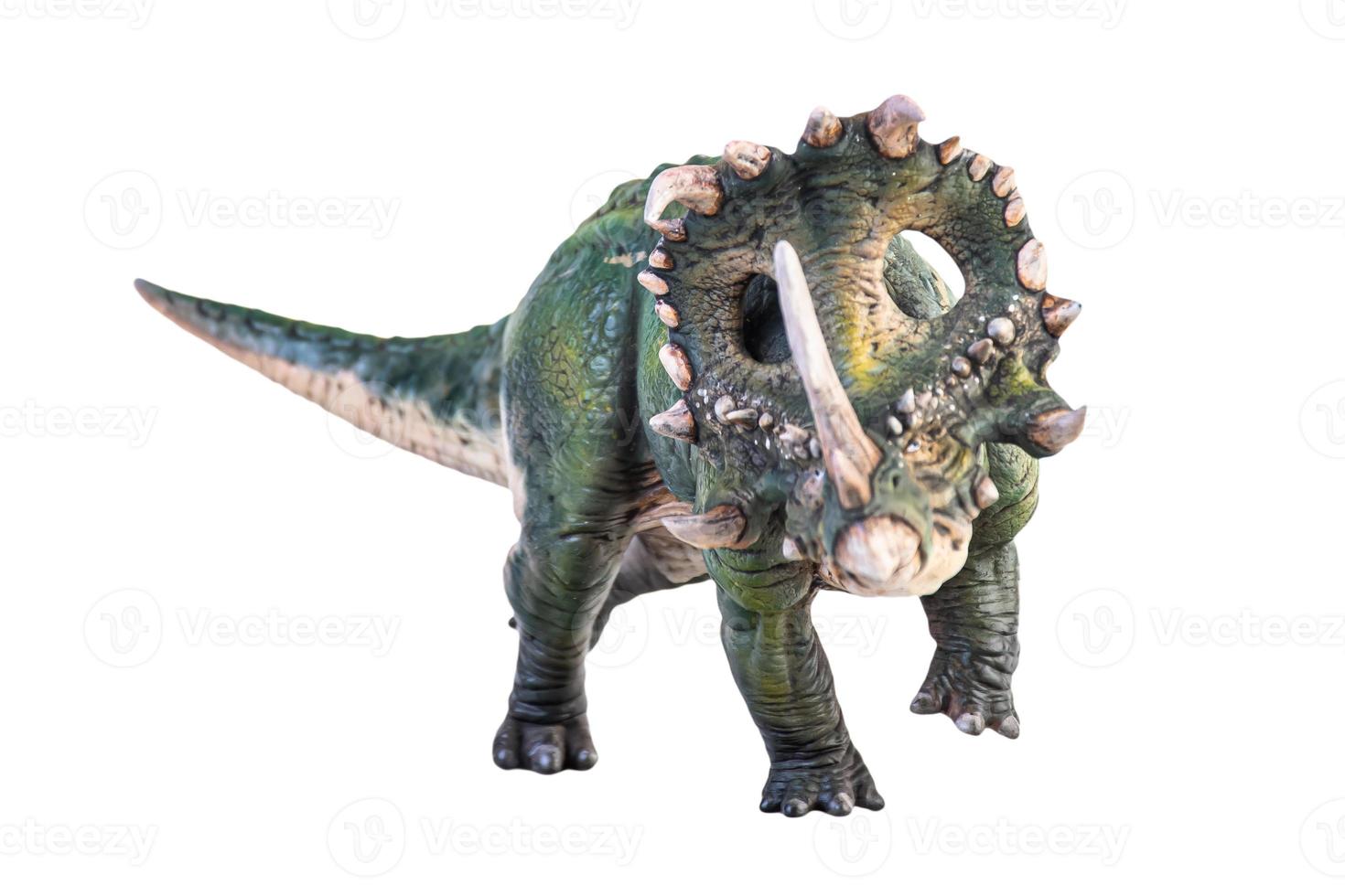 dinossauro, traçado de recorte de fundo isolado sinoceratops foto