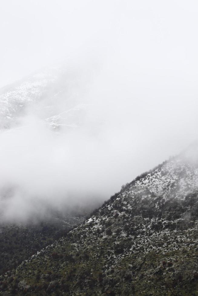 selva nebulosa e montanhas foto