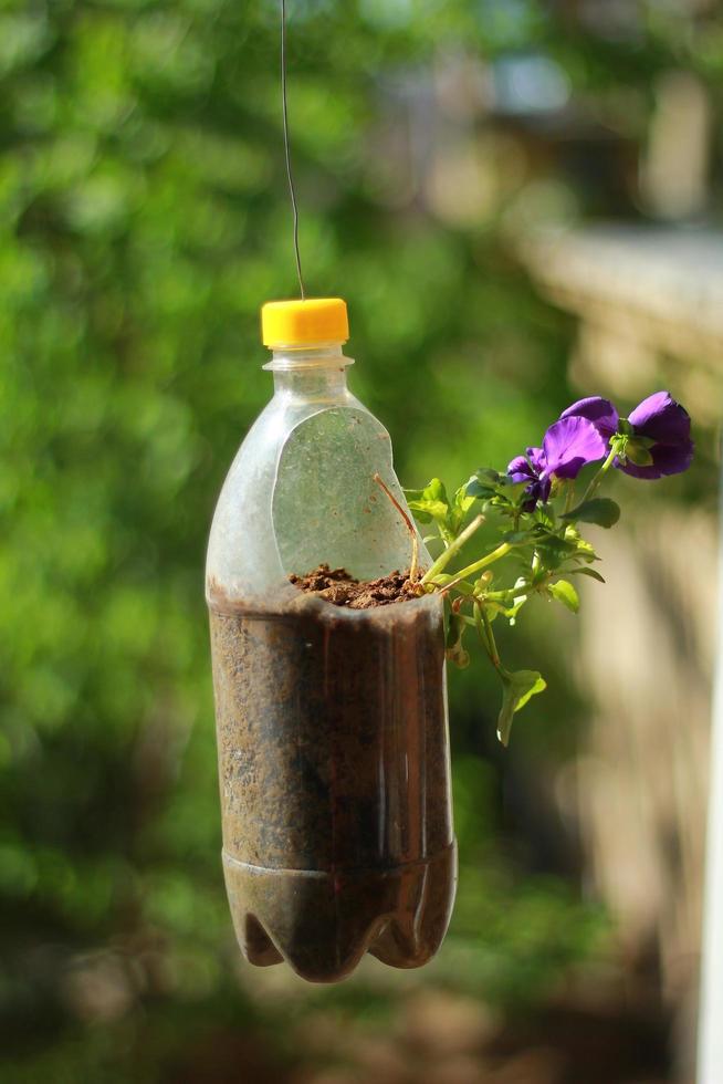 vaso de flores de garrafa de plástico no sol foto