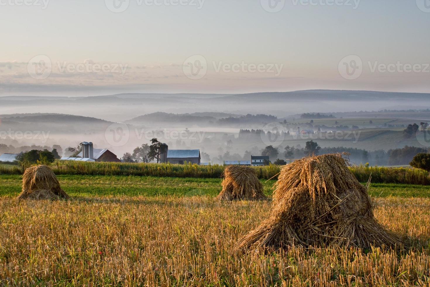 choques de trigo com vista para o vale enevoado no início da manhã foto