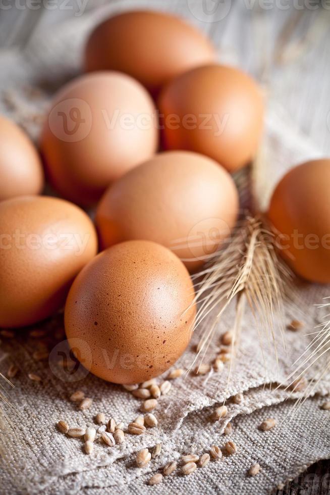 ovos marrons frescos e espigas de trigo foto