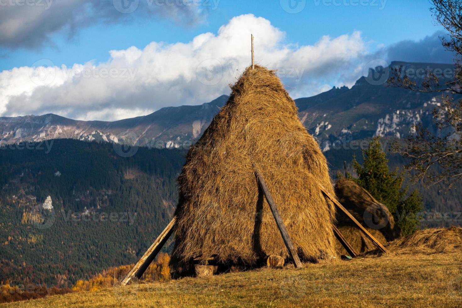 uma encantadora paisagem montanhosa nas montanhas bucegi, cárpatos, roménia. natureza de outono em moeciu de sus, transilvânia foto