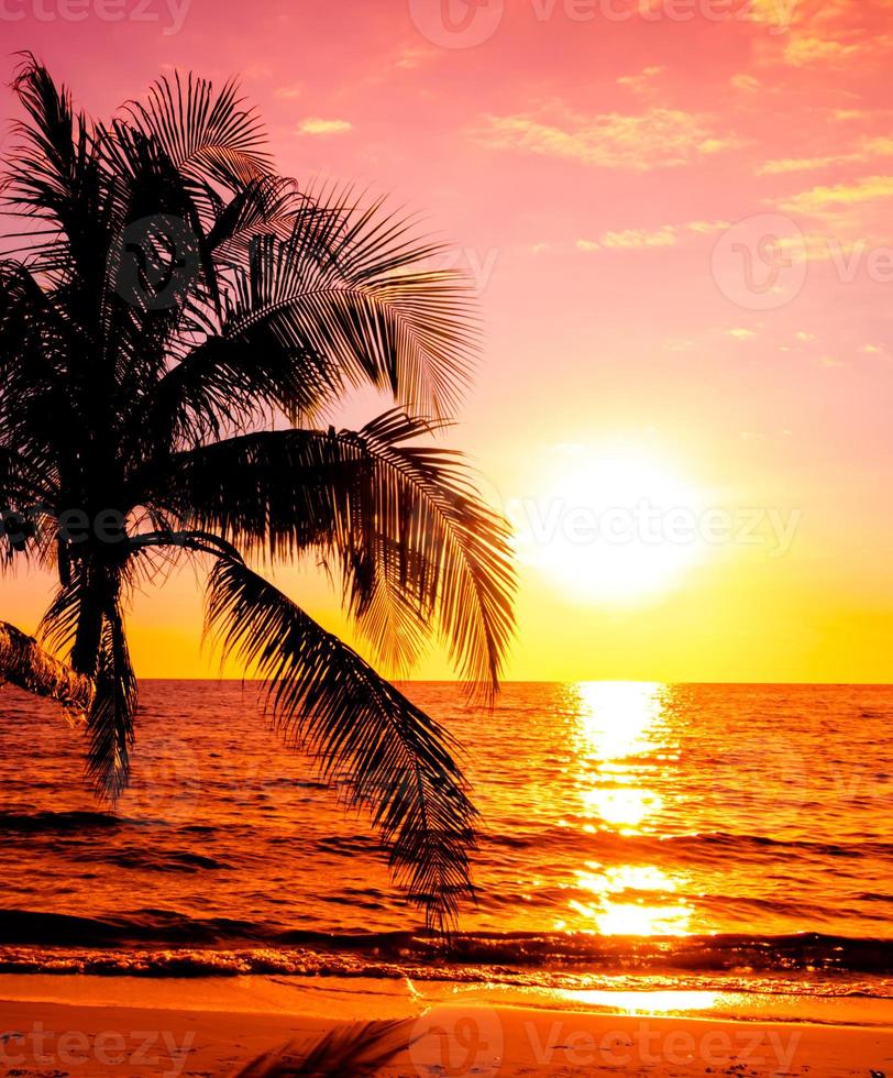 pôr do sol sobre o mar com palmeiras no fundo da praia do mar tropical para viajar no tempo de relaxamento de férias foto