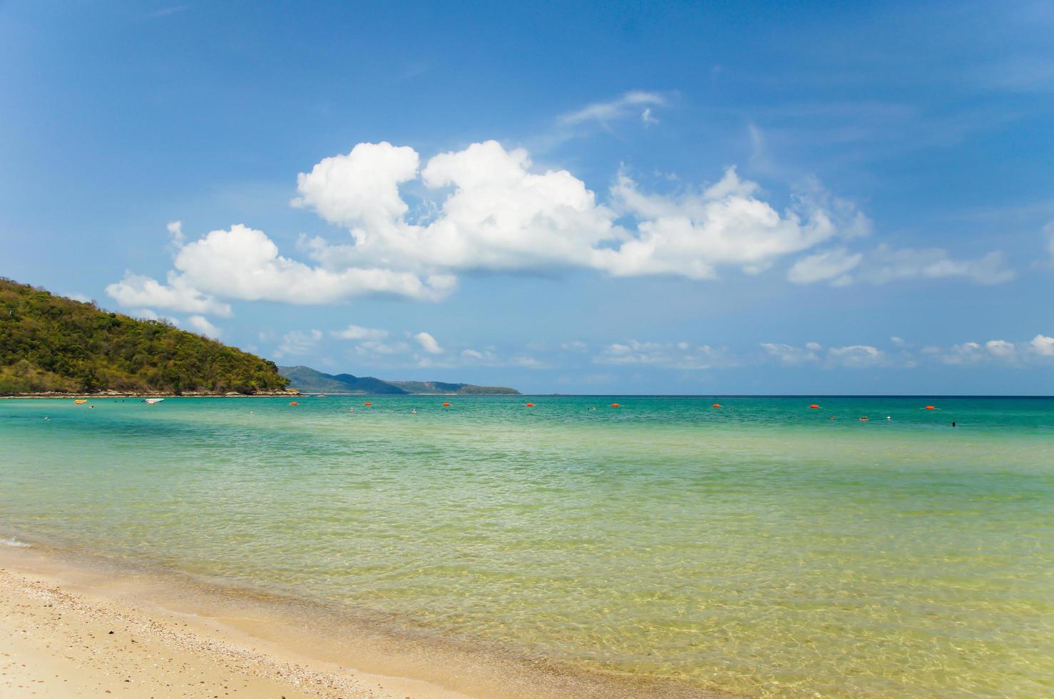 praia tropical durante o dia foto