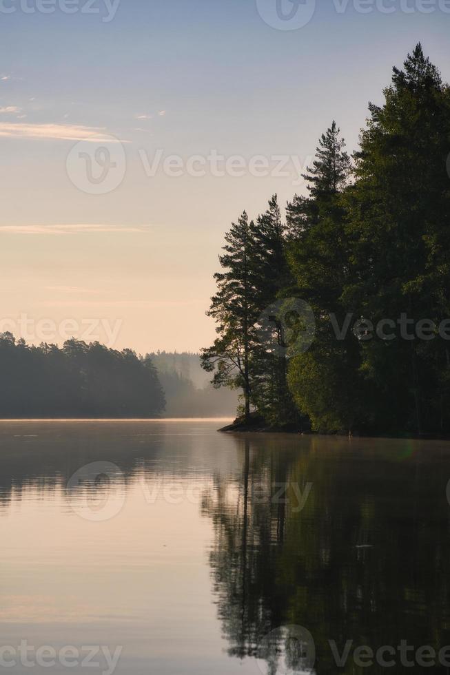 rochas de pedra com coníferas à beira do lago na suécia em smalland. natureza selvagem na Escandinávia foto