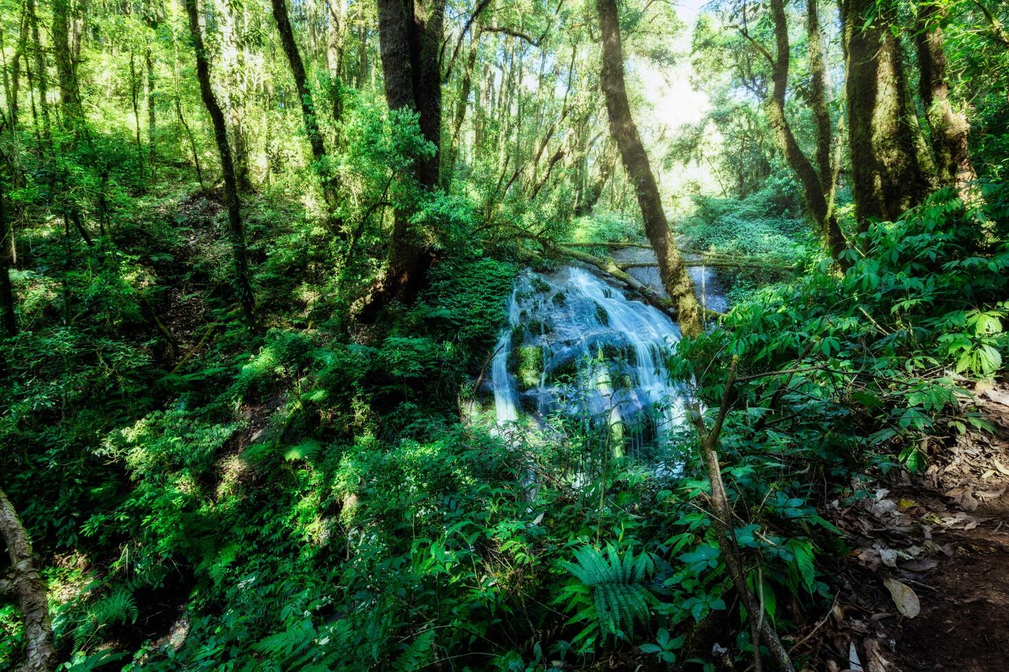 Cachoeira Kio Mae Pan foto