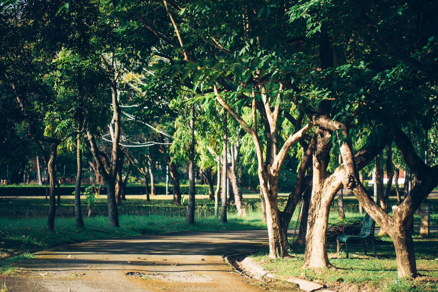 vista do parque público com caminho foto