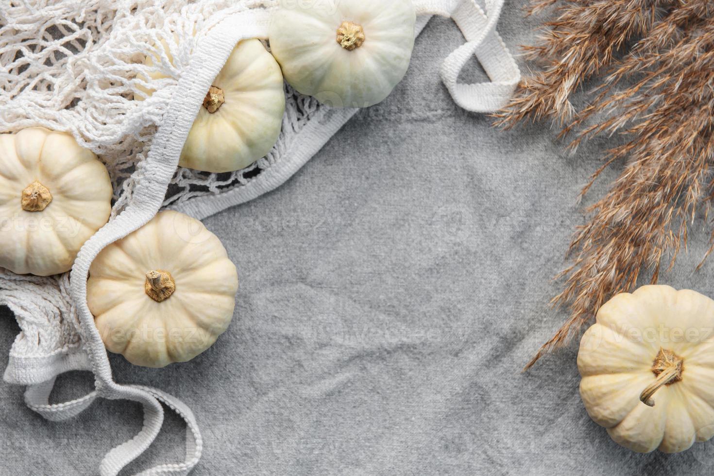 ação de graças ou colheita flatlay com abóboras em fundo cinza têxtil. foto