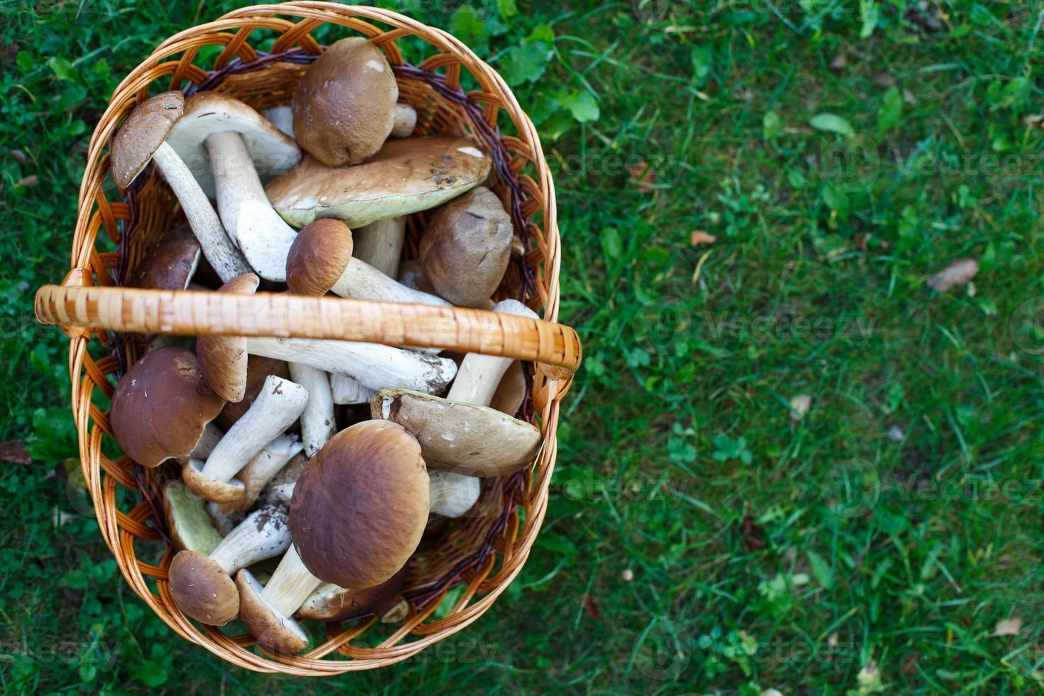 cogumelos comestíveis porcini na cesta de vime na grama verde. vista do topo foto