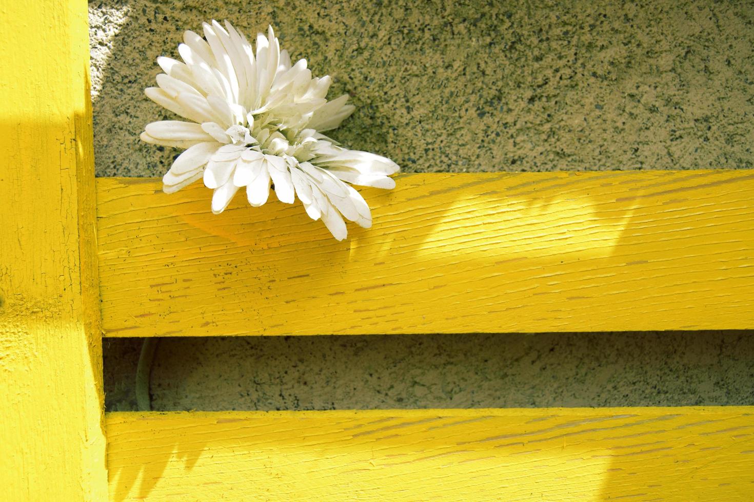 flor branca em prancha de madeira amarela foto