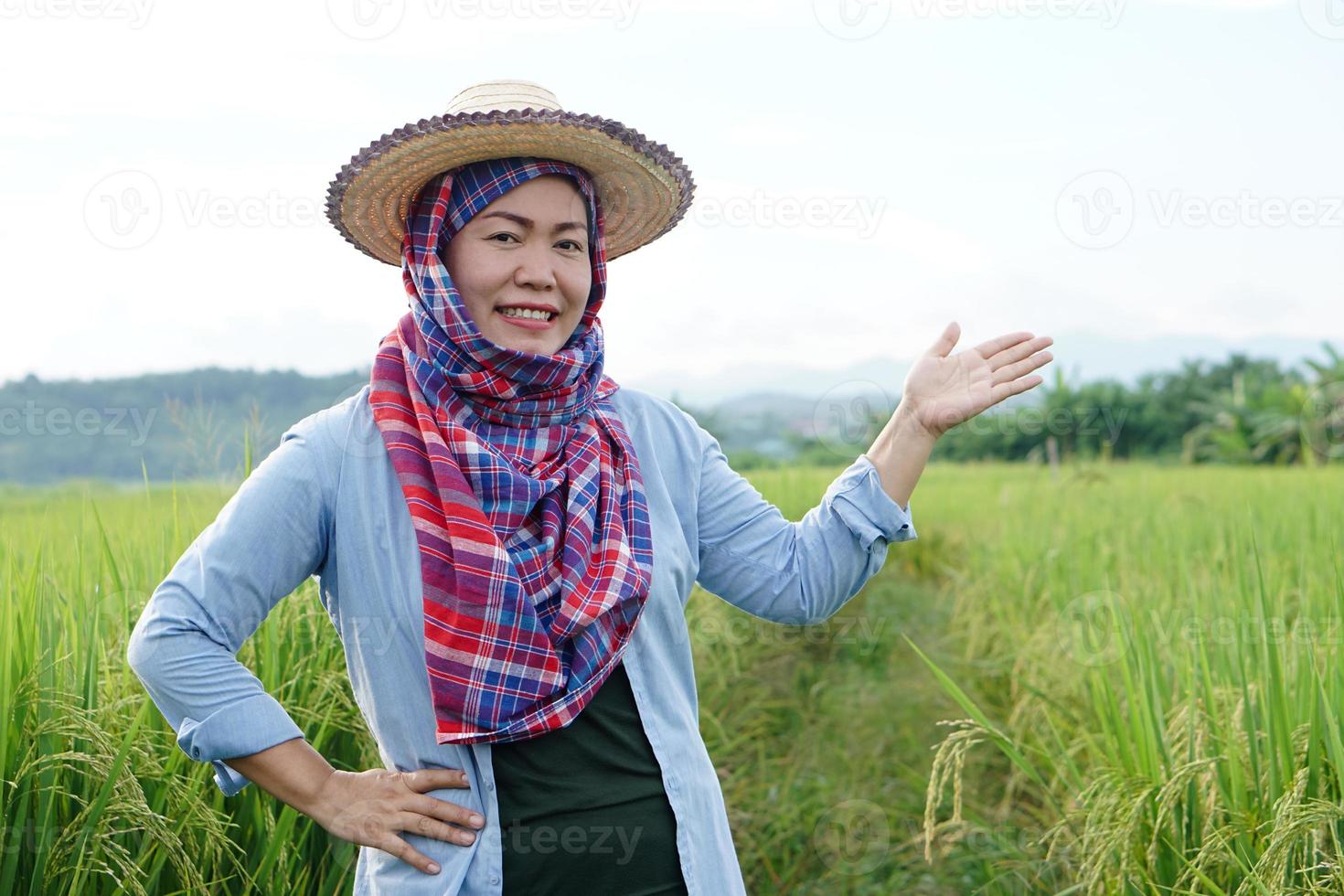 agricultora asiática está em terras agrícolas, usa chapéu, cabeça coberta com tanga tailandesa, camisa azul e faz gesto com a mão para apresentar algo. conceito, ocupação agrícola. agricultor com arroz orgânico. foto