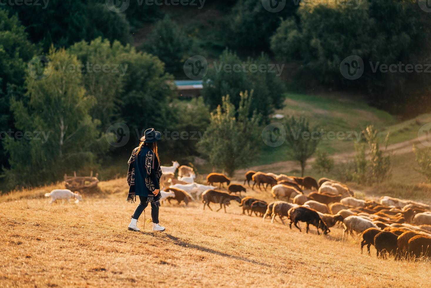 pastora e rebanho de ovelhas em um gramado foto