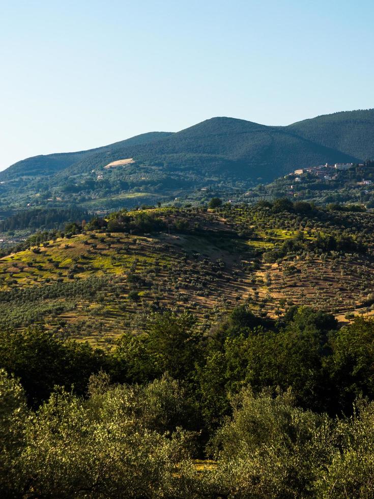 lado do campo italiano foto