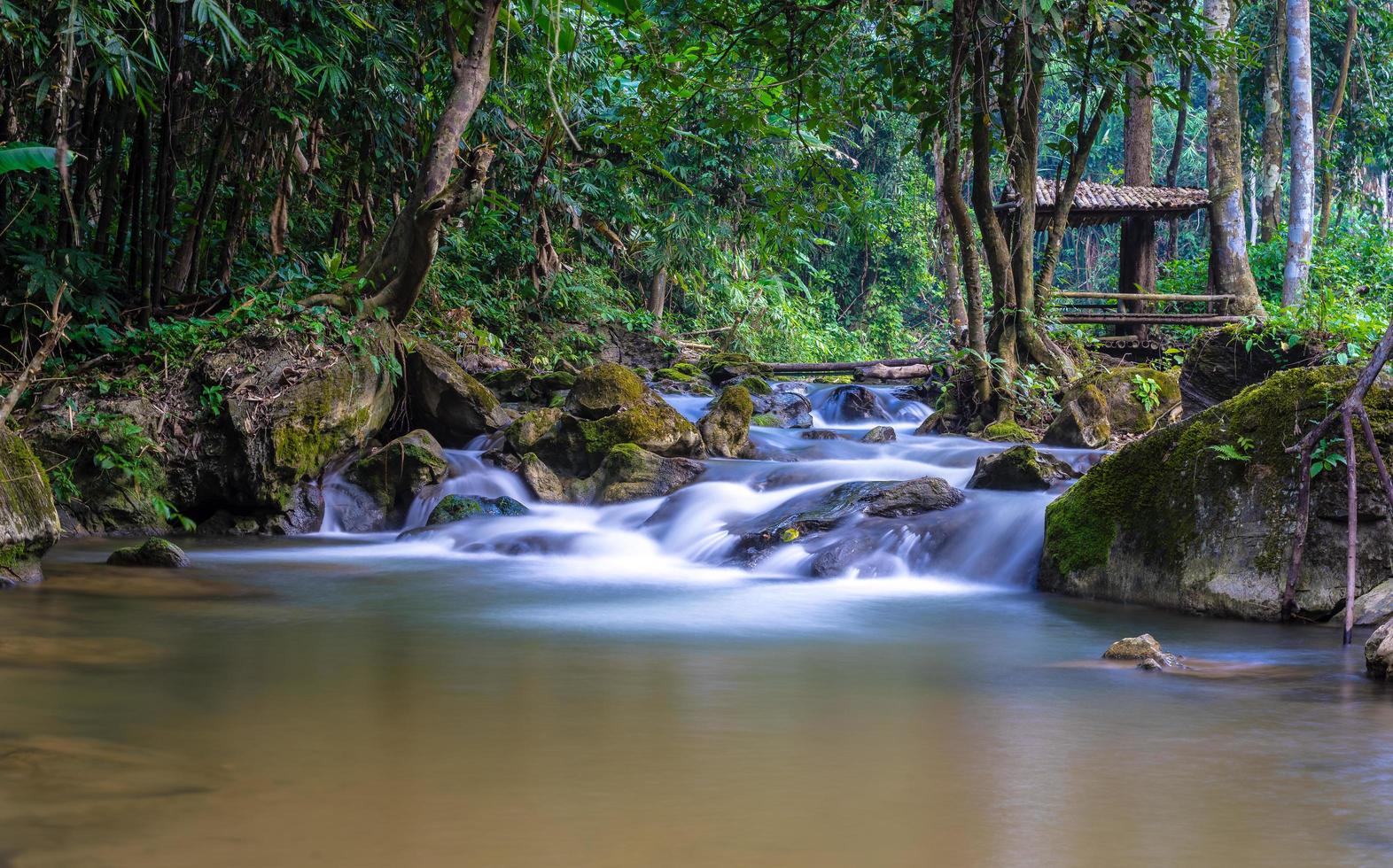 riacho na floresta foto