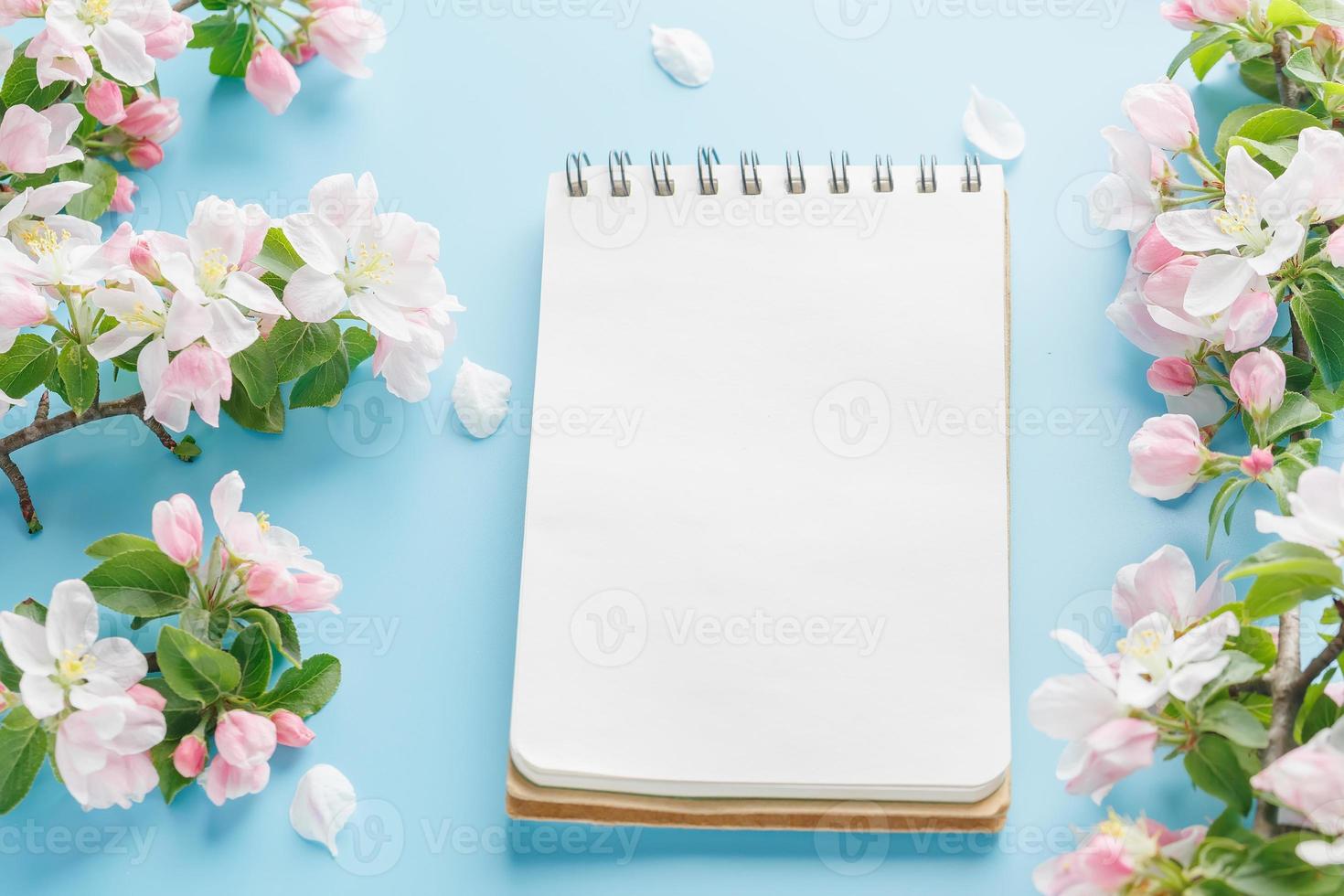 sakura de primavera florescendo em um fundo azul com espaço de bloco de notas para uma mensagem de saudação. o conceito de primavera e dia das mães. lindas flores delicadas de cerejeira rosa na primavera foto