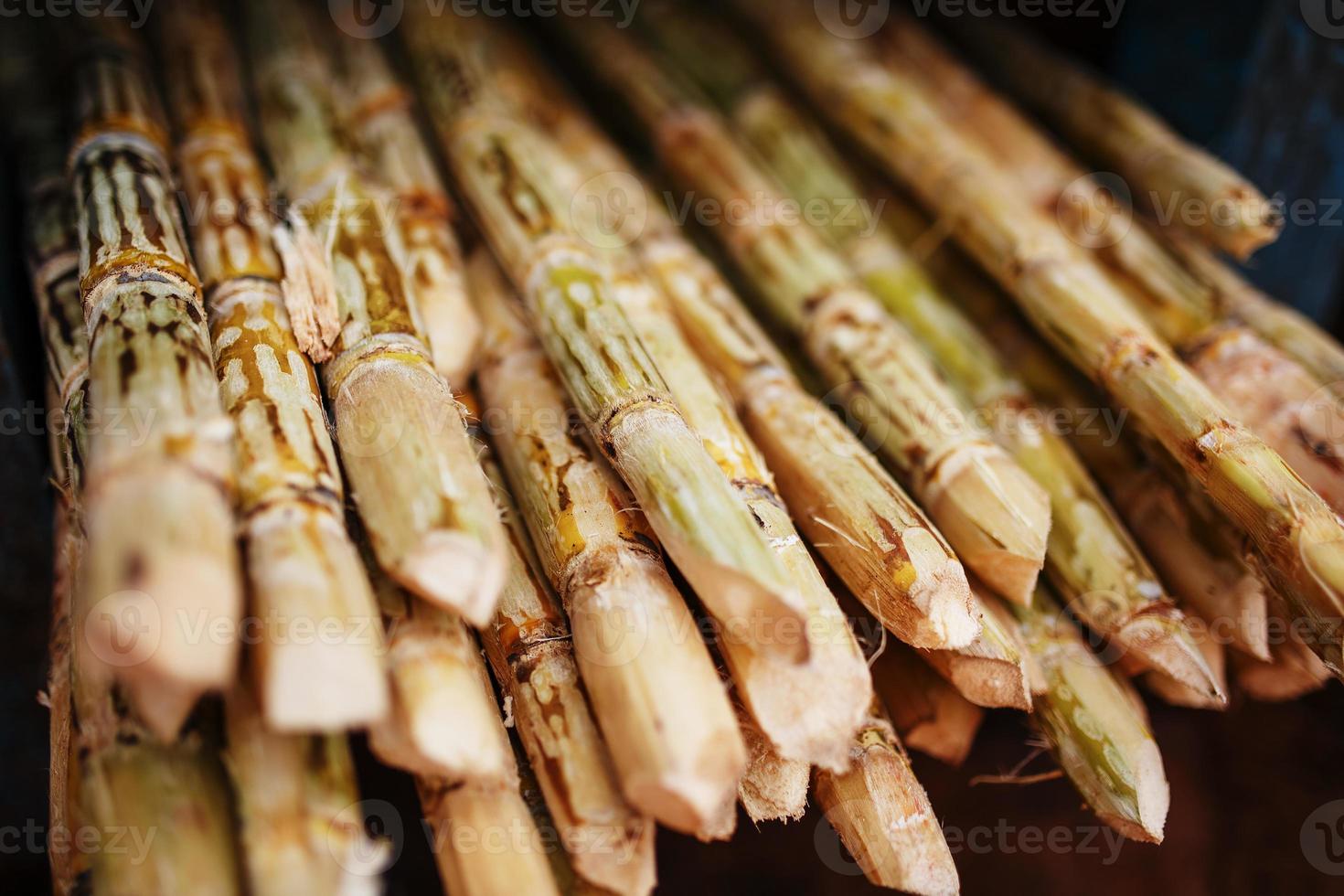 cana-de-açúcar é uma grande pilha antes de espremer uma bebida açucarada. pilha de galhos de perto foto