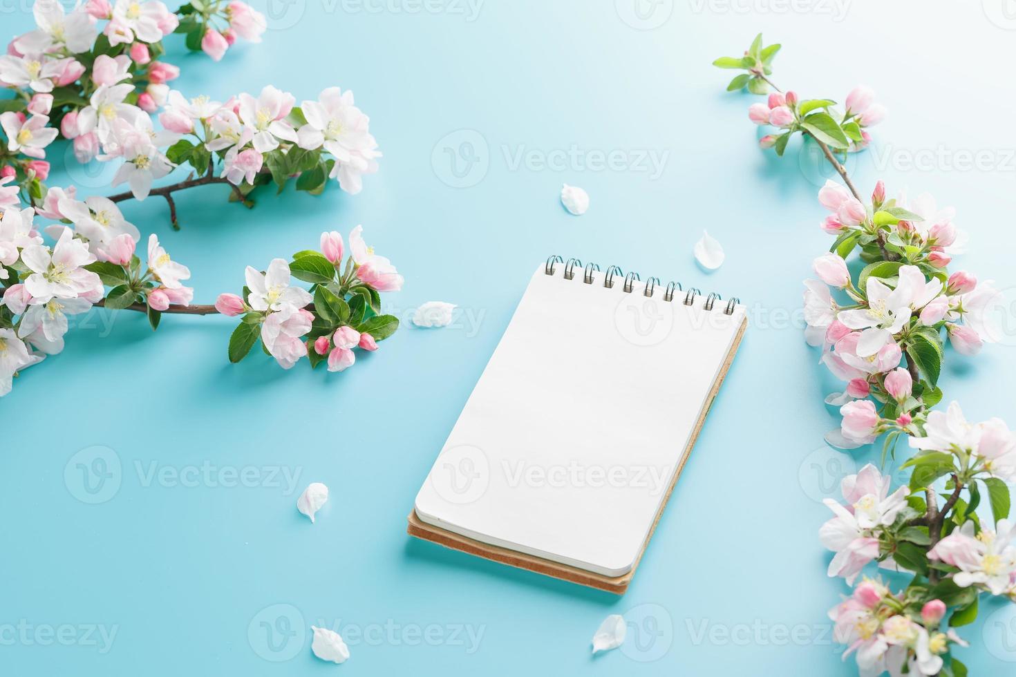 sakura de primavera florescendo em um fundo azul com espaço de bloco de notas para uma mensagem de saudação. o conceito de primavera e dia das mães. lindas flores delicadas de cerejeira rosa na primavera foto