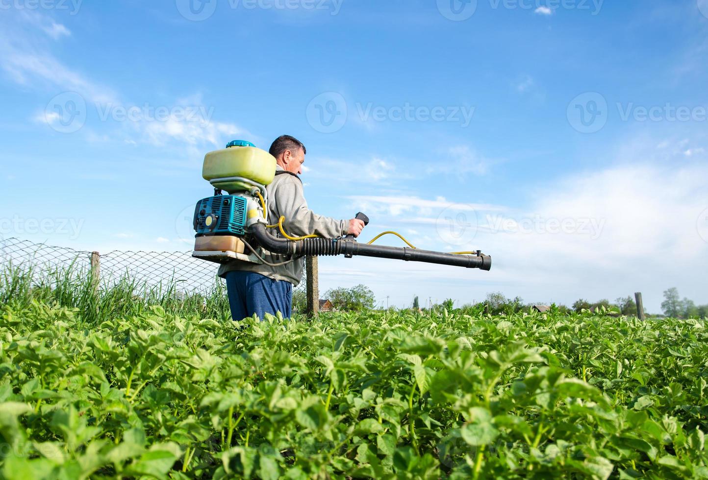 agricultor masculino com um pulverizador de névoa processa arbustos de batata com produtos químicos. proteção de plantas cultivadas contra insetos e infecções fúngicas. controle do uso de produtos químicos. agricultura cultivo de vegetais foto