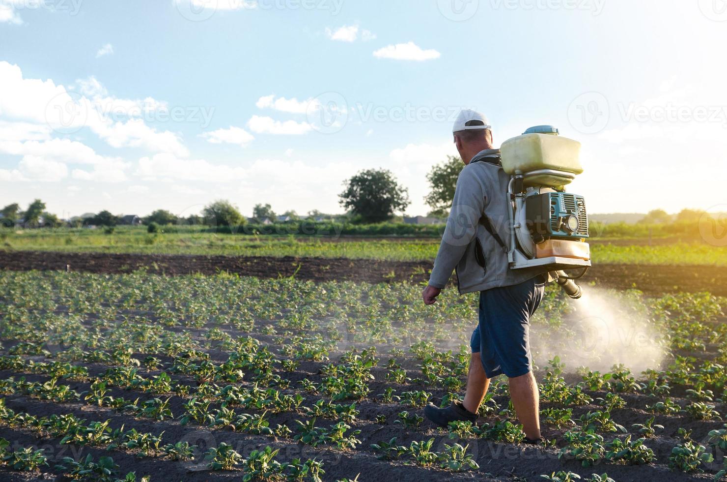 agricultor pulveriza uma plantação de batata com um pulverizador. tratamento químico. pulverizador de névoa, fungicida e pesticida. proteção eficaz das plantas cultivadas contra insetos e fungos. trabalhando no campo foto