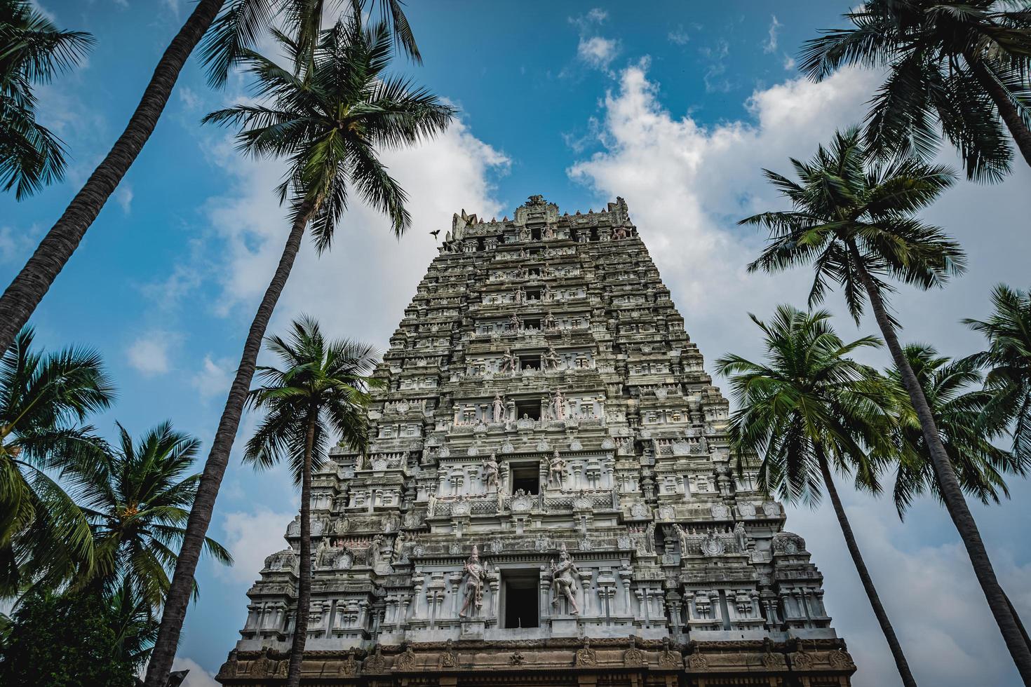 thirukalukundram é conhecido pelo complexo do templo vedagiriswarar, popularmente conhecido como kazhugu koil - templo da águia. este templo consiste em duas estruturas, uma no sopé e outra no topo da colina foto