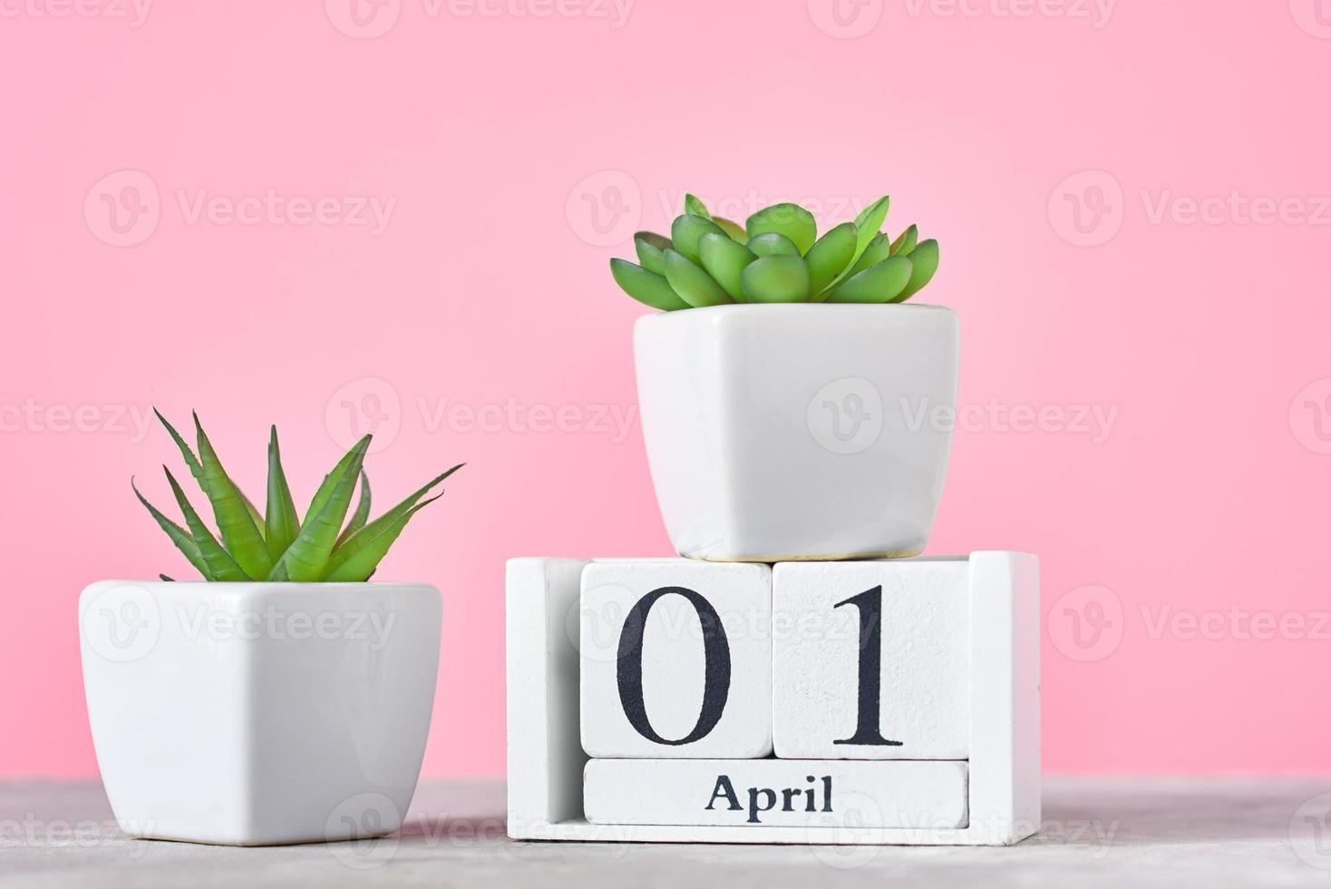 calendário de blocos de madeira com data 1º de abril e planta no fundo rosa foto