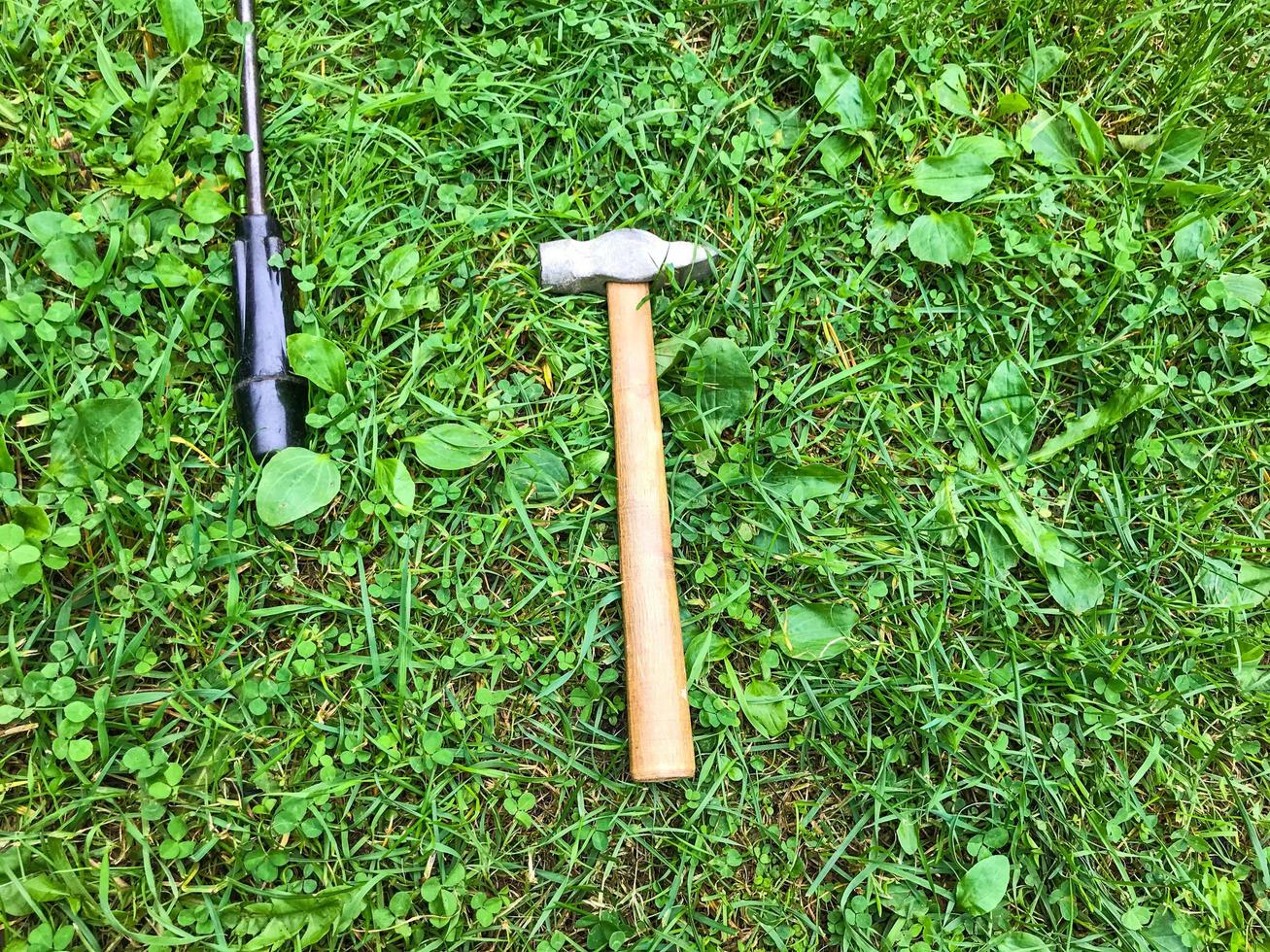 há um martelo e uma chave de fenda na grama. ferramentas para reparos são colocadas no gramado. martelo em cabo de madeira com ponta cromada. entre as folhinhas verdes foto