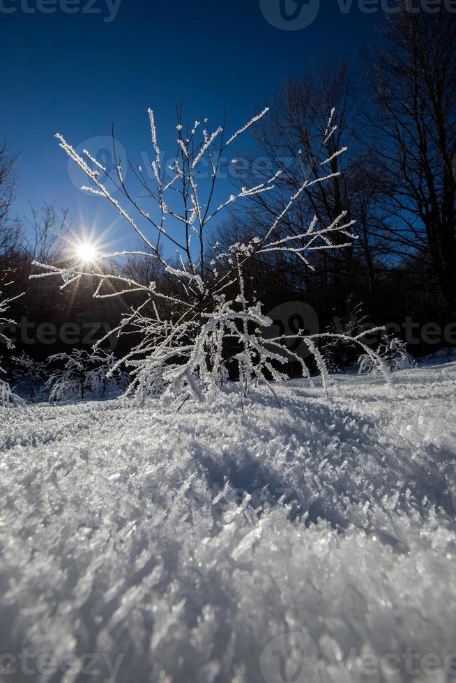 inverno na montanha foto