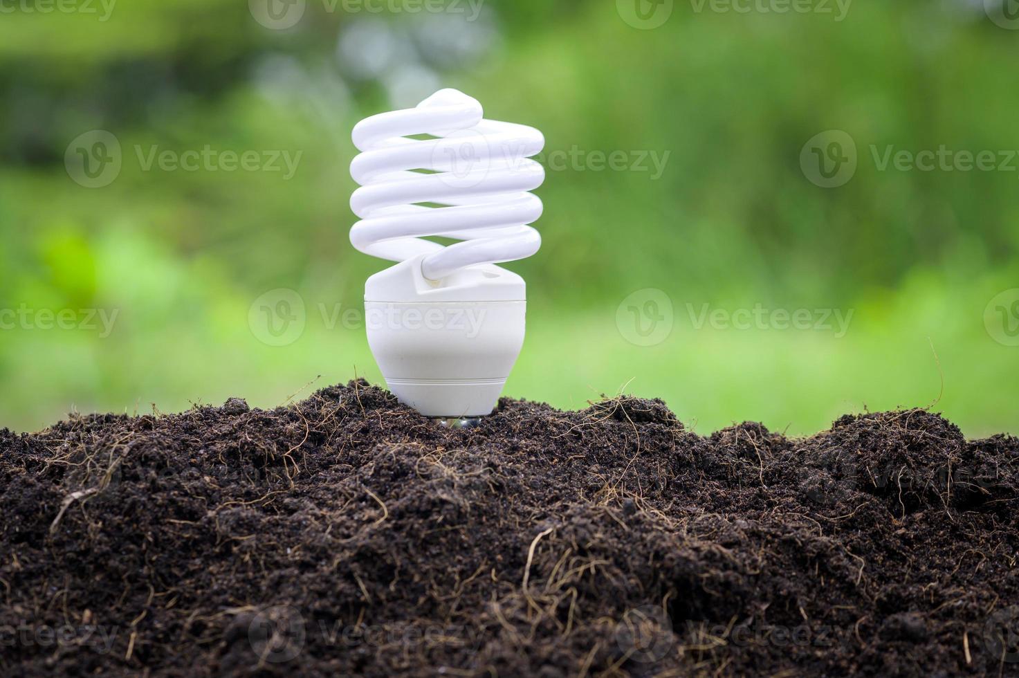lâmpada sobre fundo verde, tecnologia ecológica, salvar o conceito de terra foto